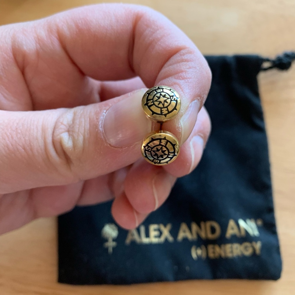 Alex and Ani compass gold earrings